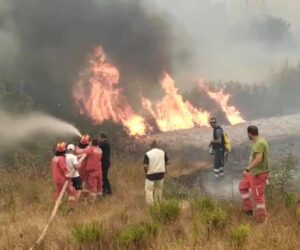 Zjarrfiksit ne Vlore