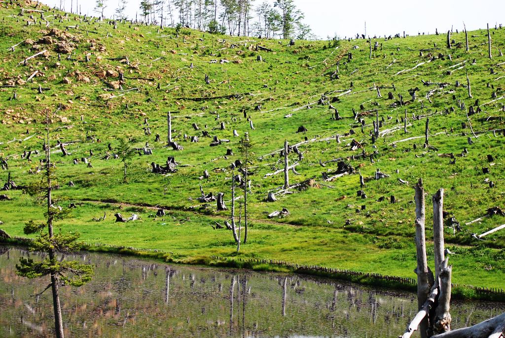 Liqeni i Luleve në parkun kombëtar Lurë Foto nga: Reporter.al